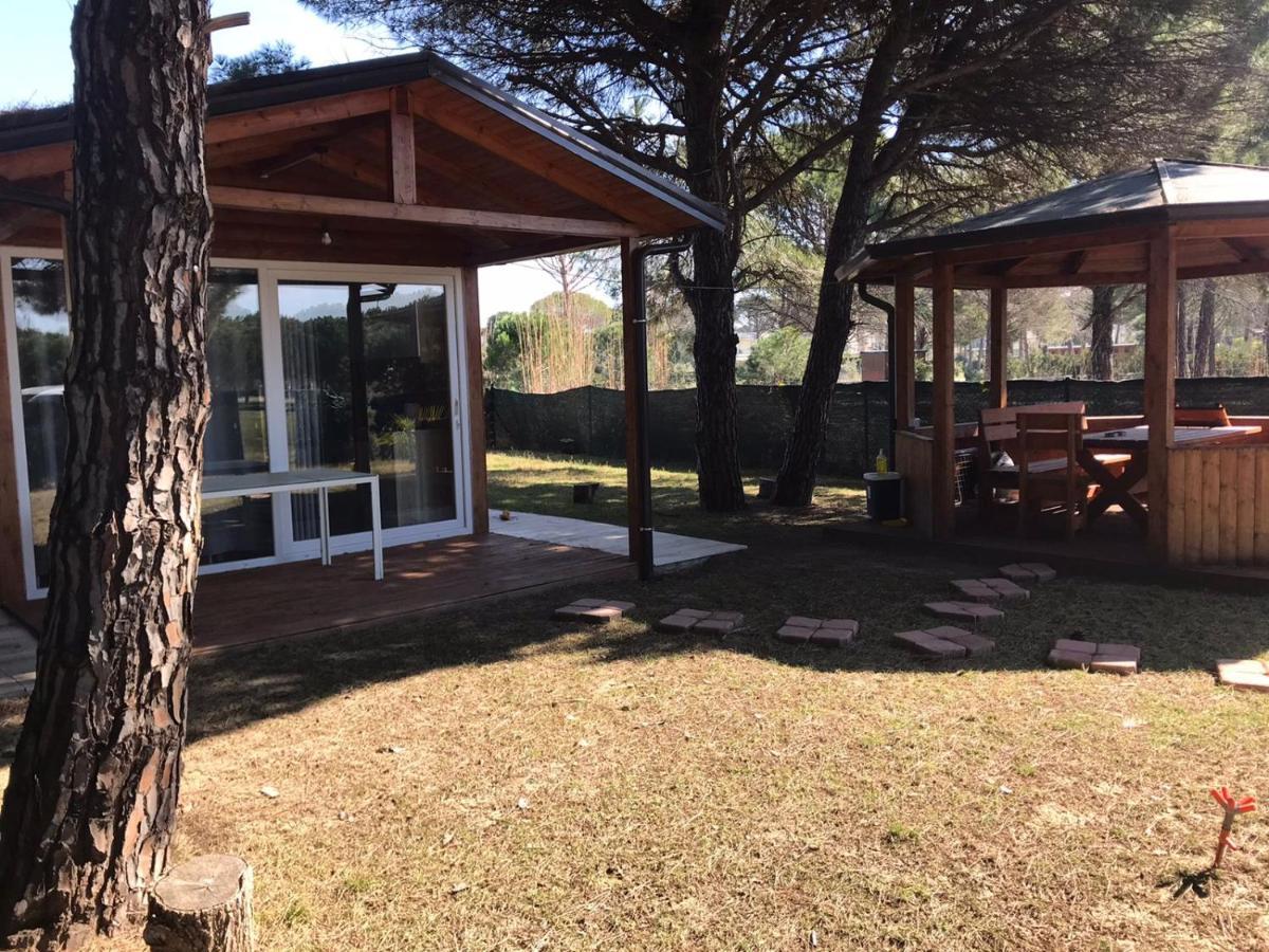 Holiday home Gjiri Lalzit *